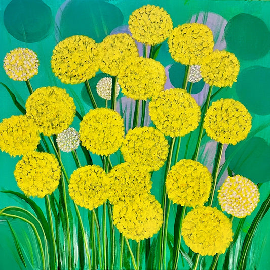 Billy Buttons