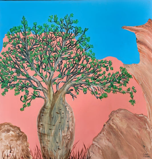 Baobab in the Kimberley's