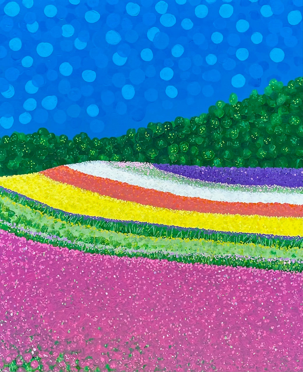 "Rainbow Fields"
