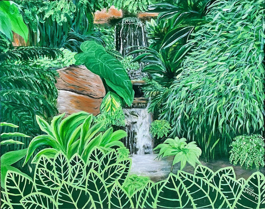 Rainforest Magic