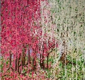 Dripping With The Blossom of Spring.